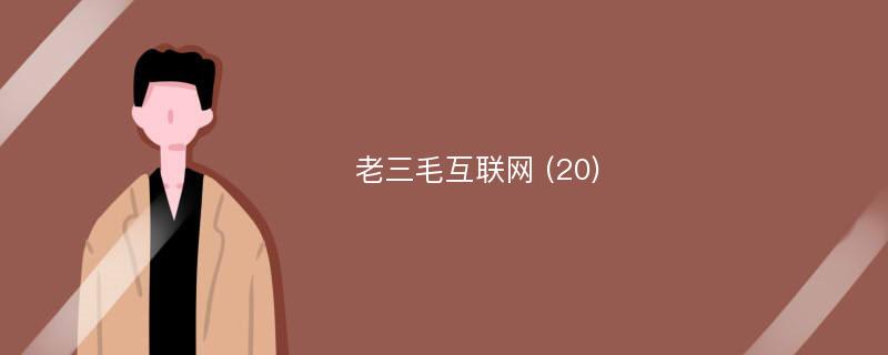 老三毛互联网 (20)