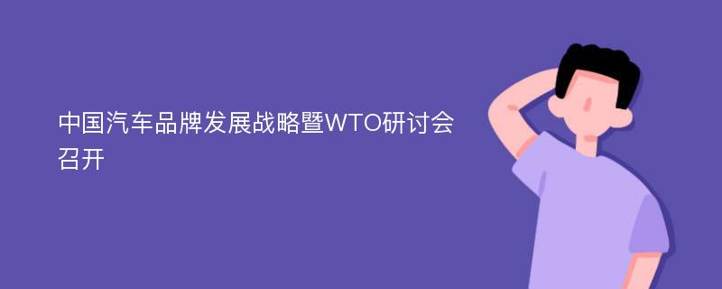 中国汽车品牌发展战略暨WTO研讨会召开