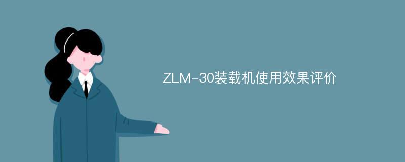 ZLM-30装载机使用效果评价