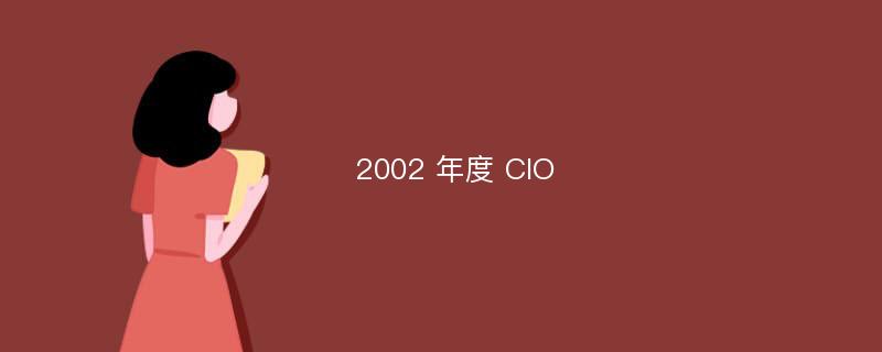 2002 年度 CIO