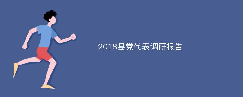 2018县党代表调研报告
