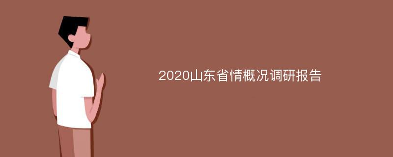 2020山东省情概况调研报告